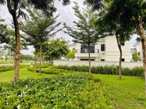 Biet thu don lap goc Swanbay